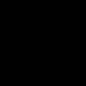 Meet your Posher, Alexia